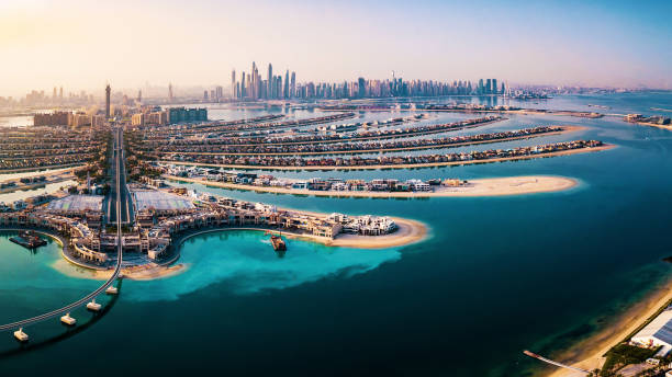 Experience the Best Dubai Marina Dinner Cruise with Daycation Tour