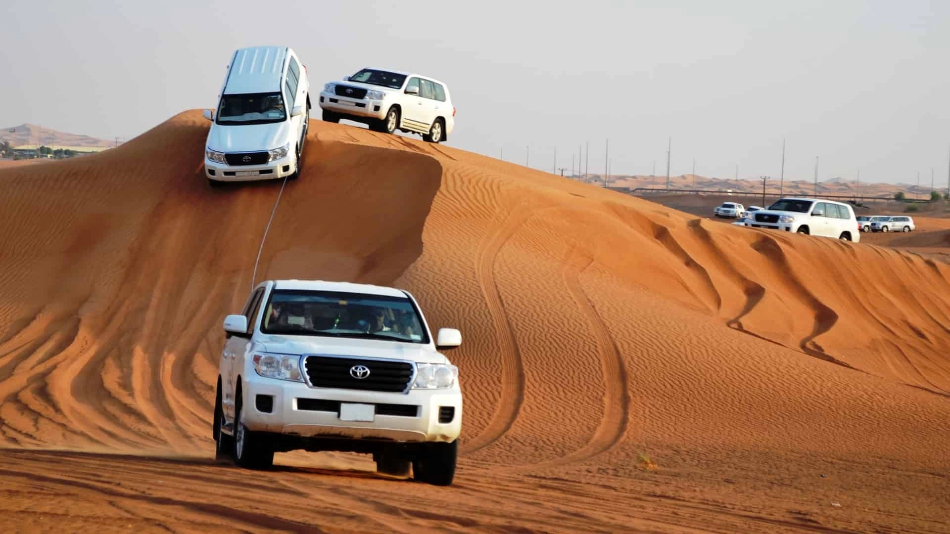 Desert Safari Service