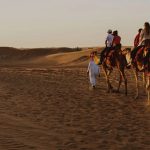VIP Dubai Desert Safari